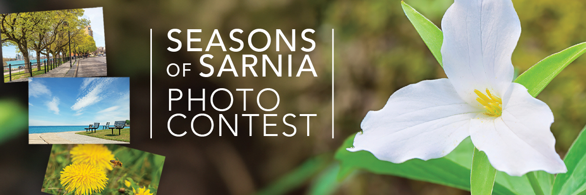 photo contest banner spring 2026